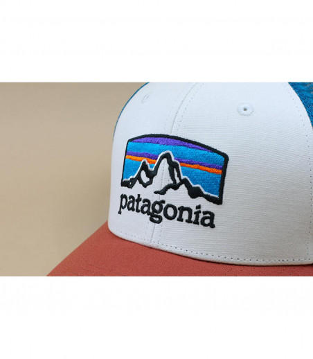 blue Patagonia trucker blue Patagonia trucker
